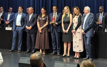 Elmir Chedid é homenageado por excelência na gestão pública
