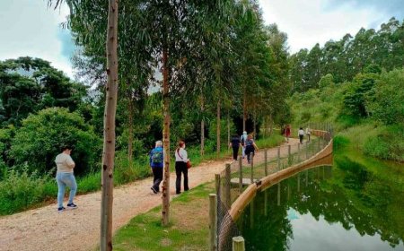 Bioparque Mata Atlântica apresenta novo conceito e abertura do zoológico