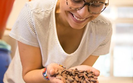 Chocolate com brasilidade alcança o mundo com prêmios internacionais