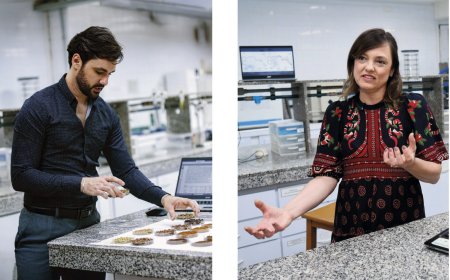 A hora e a vez do café canéfora