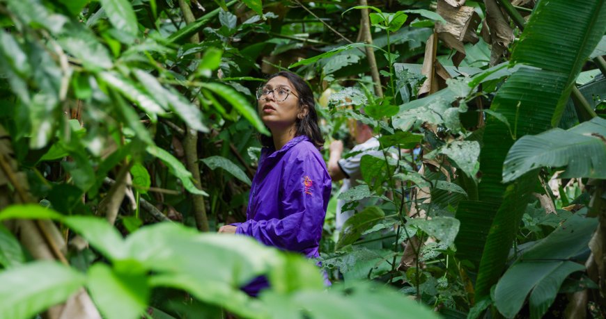 Entre Linhas e Vozes - Episódio 1: Chocolate com brasilidade alcança o mundo com prêmios internacionais