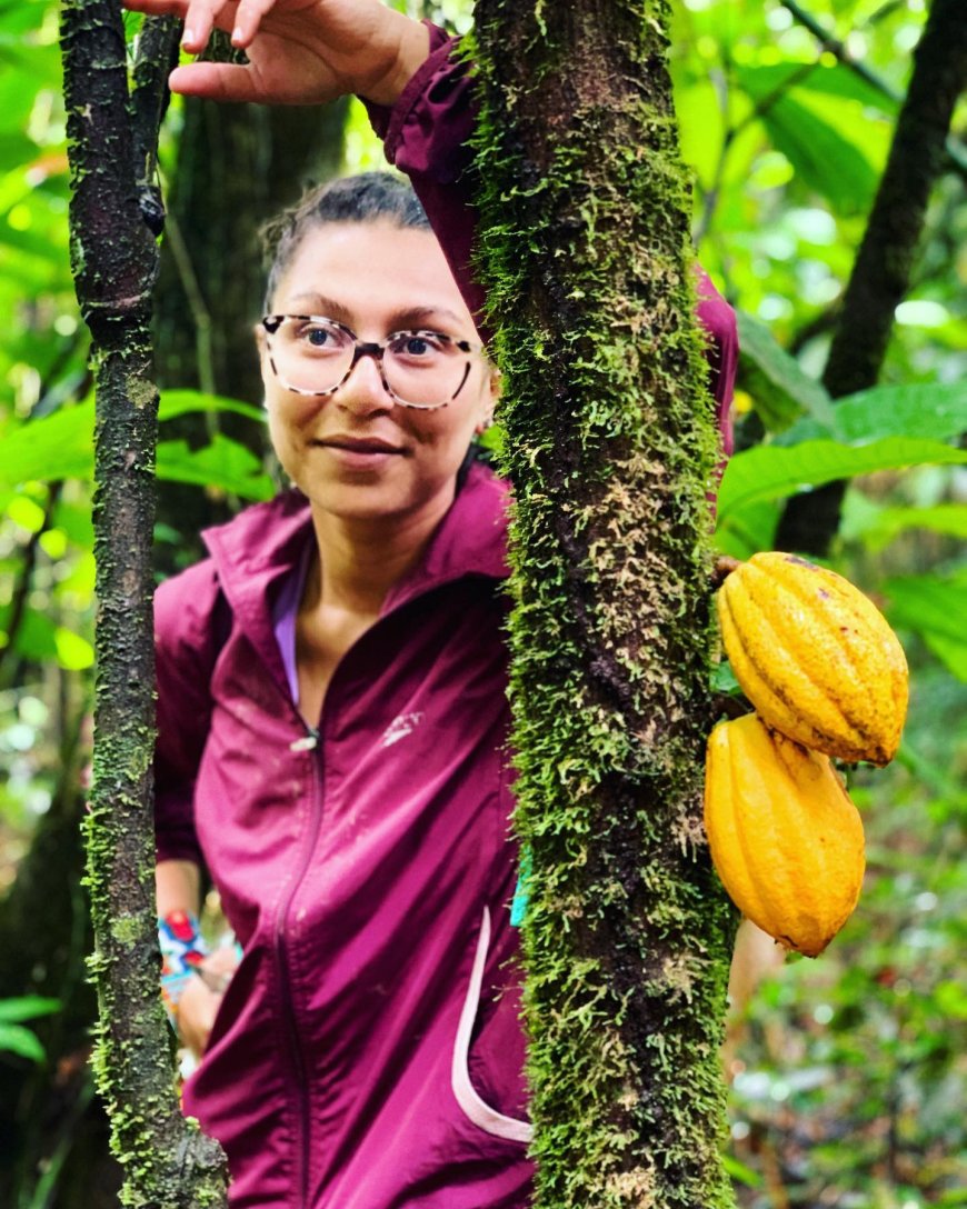 Entre Linhas e Vozes - Episódio 1: Chocolate com brasilidade alcança o mundo com prêmios internacionais
