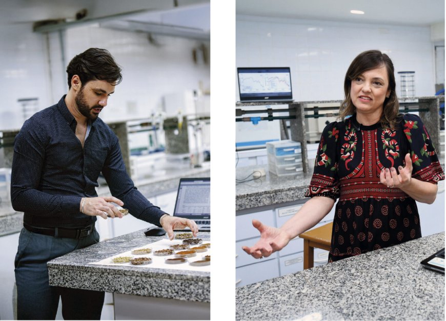 A hora e a vez do café canéfora