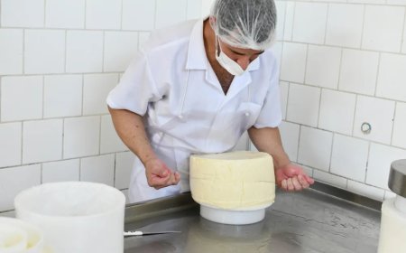 Dia Mundial do Queijo: Celebrado nesta semana, data lembra alta qualidade dos produtos regionais