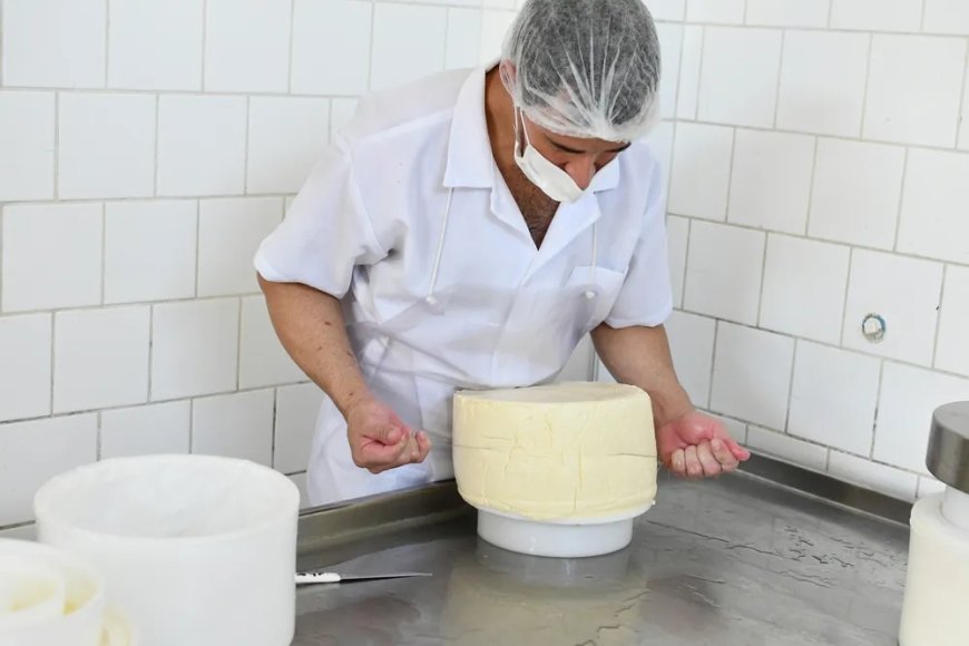 Dia Mundial do Queijo: Celebrado nesta semana, data lembra alta qualidade dos produtos regionais