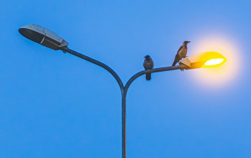 Prefeitura de Serra Negra lança formulário online para troca de lâmpadas da iluminação pública