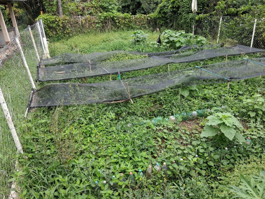 Casa di Matera é local de cuidado e acolhimento para pessoas idosas