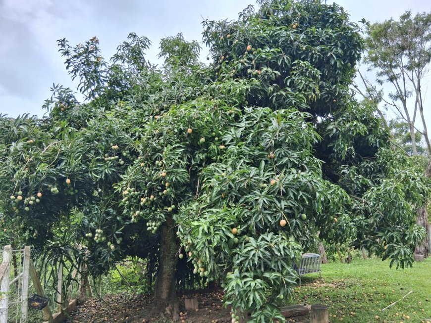 Casa di Matera é local de cuidado e acolhimento para pessoas idosas
