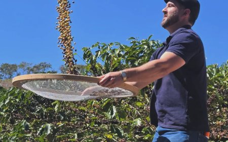 Café Nonno Marchi promove experiência imersiva com plantio de mudas em Serra Negra