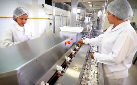 Laboratório de Itapira é responsável pelos estudos de Polilaminina