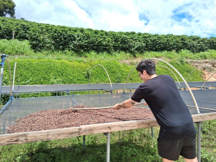 Café Nonno Marchi realiza experiência imersiva do café com plantio de mudas