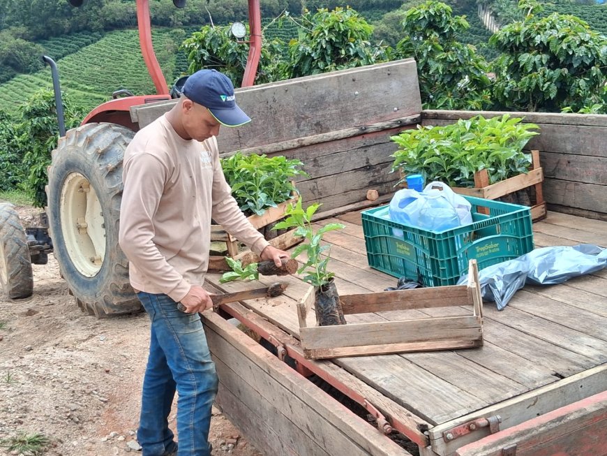Café Nonno Marchi realiza experiência imersiva do café com plantio de mudas
