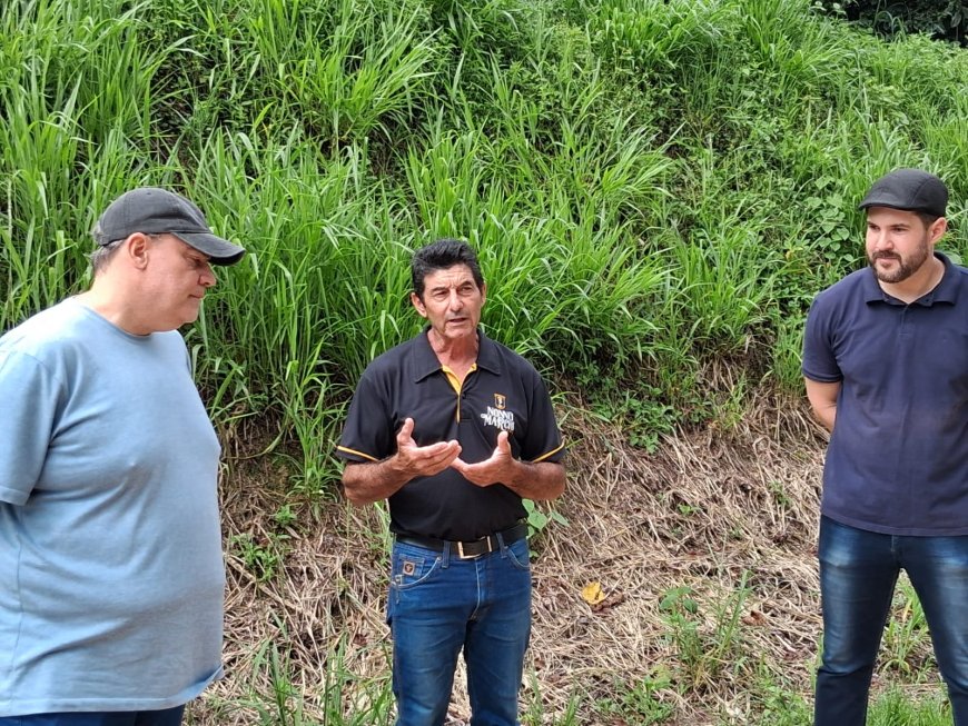 Café Nonno Marchi realiza experiência imersiva do café com plantio de mudas