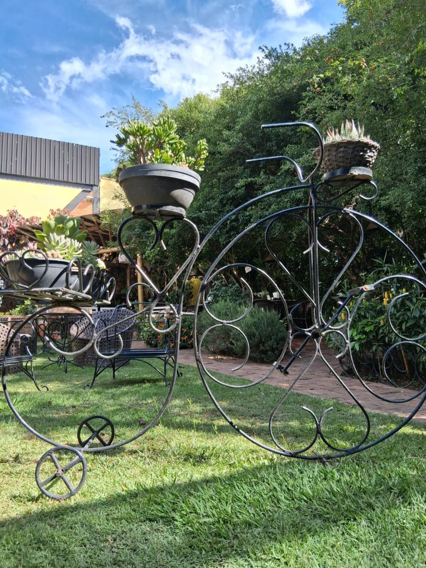 Entre Linhas e Vozes - Episódio 4: Socorrenses criam Clube de Experiências Gastronômicas no Circuito das Águas