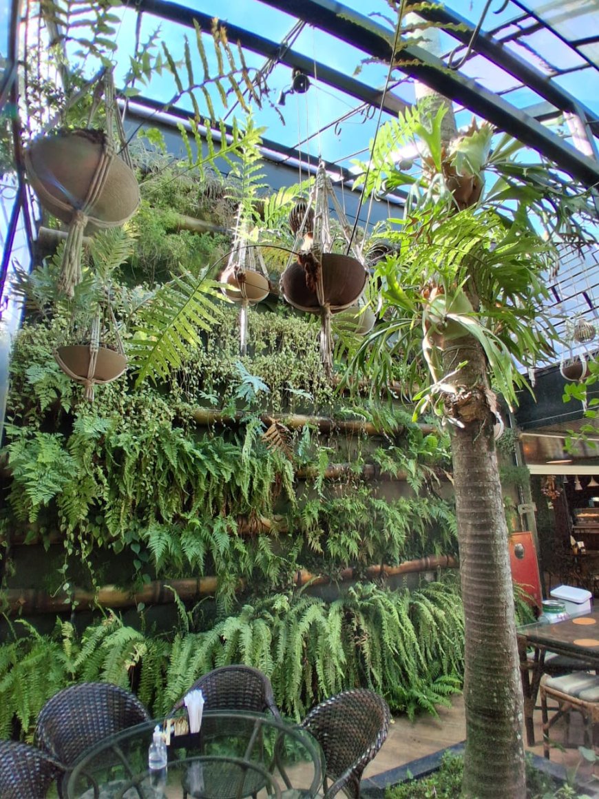 Entre Linhas e Vozes - Episódio 4: Socorrenses criam Clube de Experiências Gastronômicas no Circuito das Águas