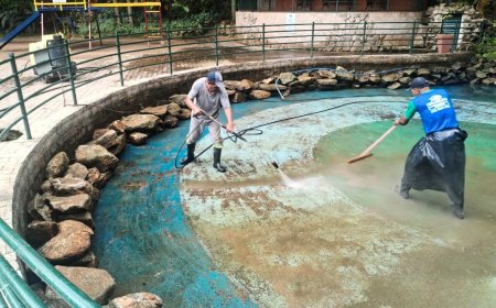 Lago da Fonte Santo Agostinho recebe intervenção para reparar danos na estrutura