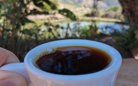 Como o preparo do café pode influenciar sua composição e ação antioxidante