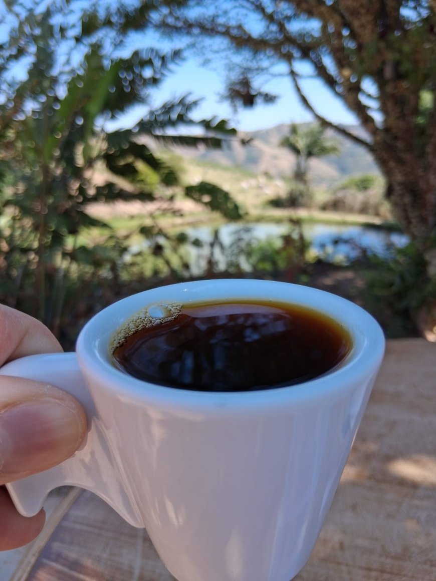 Como o preparo do café pode influenciar sua composição e ação antioxidante