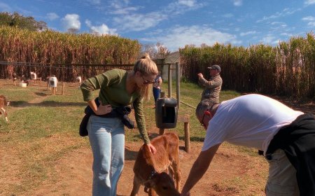 Próxima edição do Café da Manhã na Fazenda Nata da Serra acontece no dia 19