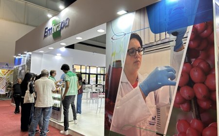 Da ciência ao mercado: Embrapa leva inovação em alimentos sustentáveis à Anuga 2026