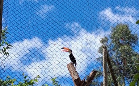 Bioparque Mata Atlântica oferece entrada gratuita para estudantes da região