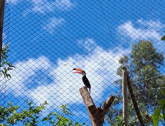 Bioparque Mata Atlântica oferece entrada gratuita para estudantes da região