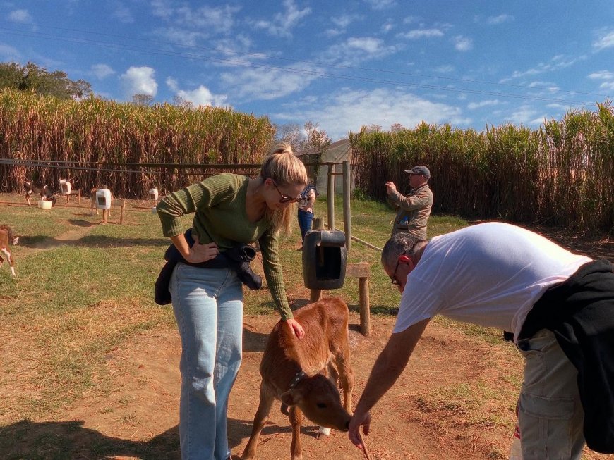 Próxima edição do Café da Manhã na Fazenda Nata da Serra acontece no dia 19