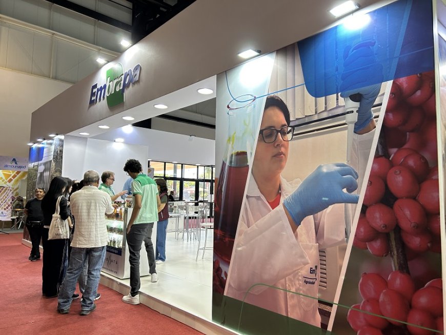 Da ciência ao mercado: Embrapa leva inovação em alimentos sustentáveis à Anuga 2026
