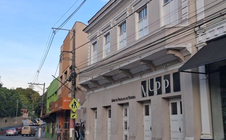 Exposição celebra a história das fábricas de porcelana em Pedreira