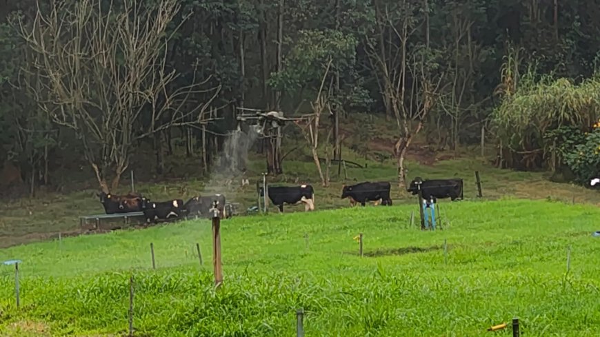 Nata da Serra tem Dia de Campo com especialistas do setor de produção rural sustentável 