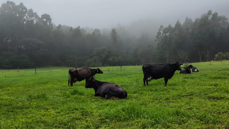 Nata da Serra tem Dia de Campo com especialistas do setor de produção rural sustentável 