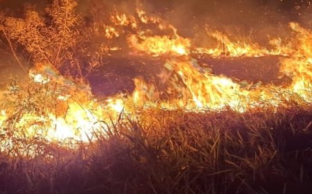 Incêndio criminoso destrói área verde e reacende alerta ambiental em Serra Negra