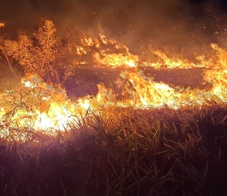 Incêndio criminoso destrói área verde e reacende alerta ambiental em Serra Negra