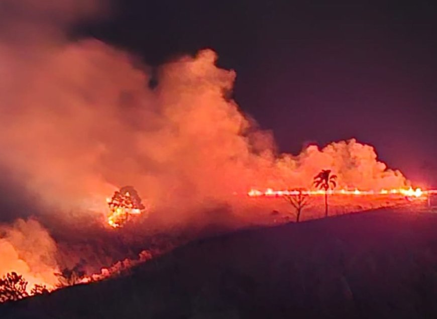 Incêndio criminoso destrói área verde e reacende alerta ambiental em Serra Negra