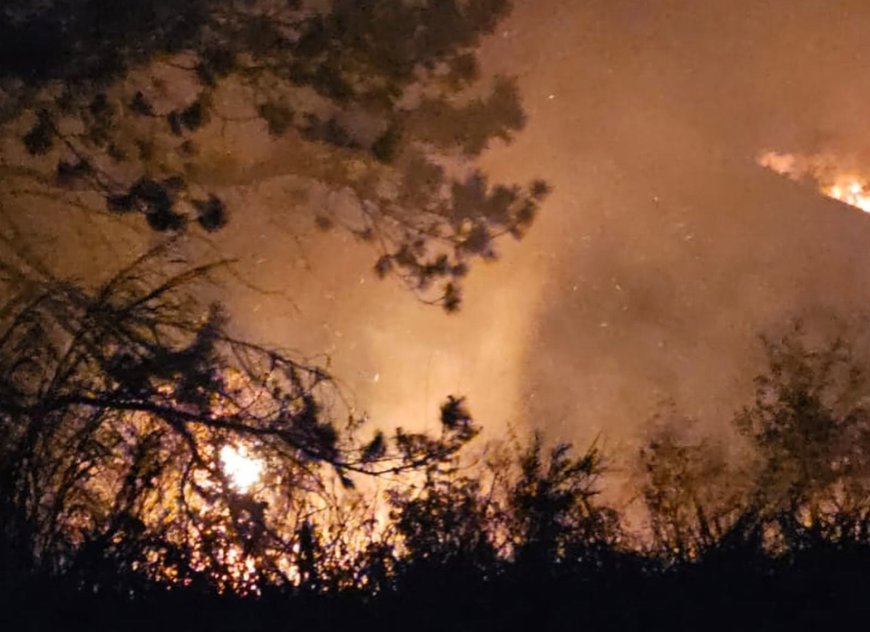 Incêndio criminoso destrói área verde e reacende alerta ambiental em Serra Negra