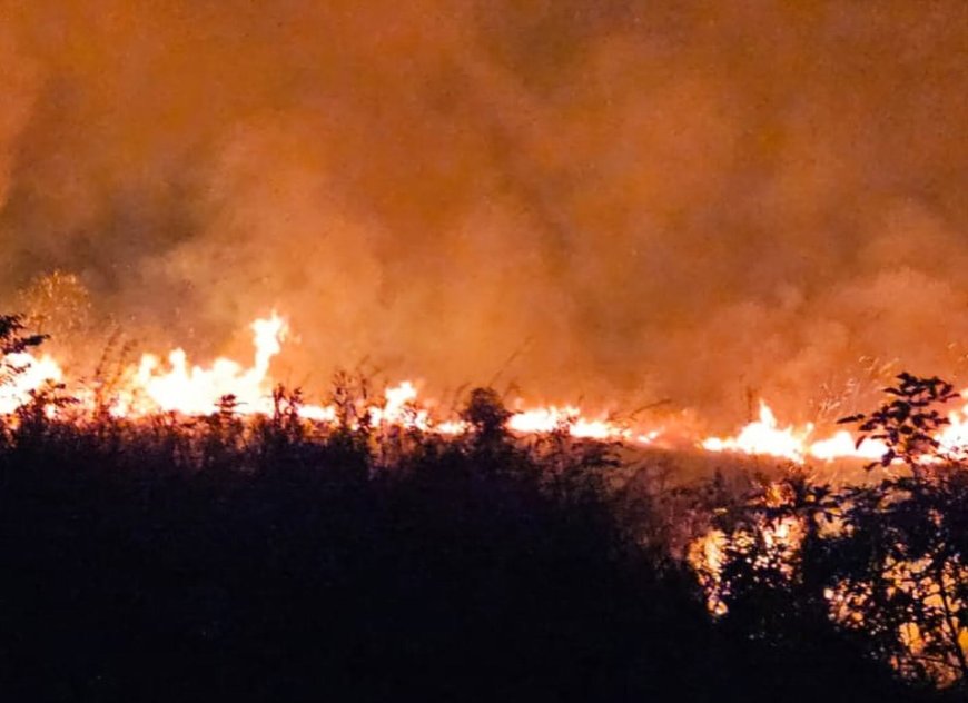 Incêndio criminoso destrói área verde e reacende alerta ambiental em Serra Negra