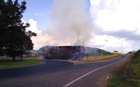 Tempo seco e calor elevam risco de queimadas nas rodovias de SP