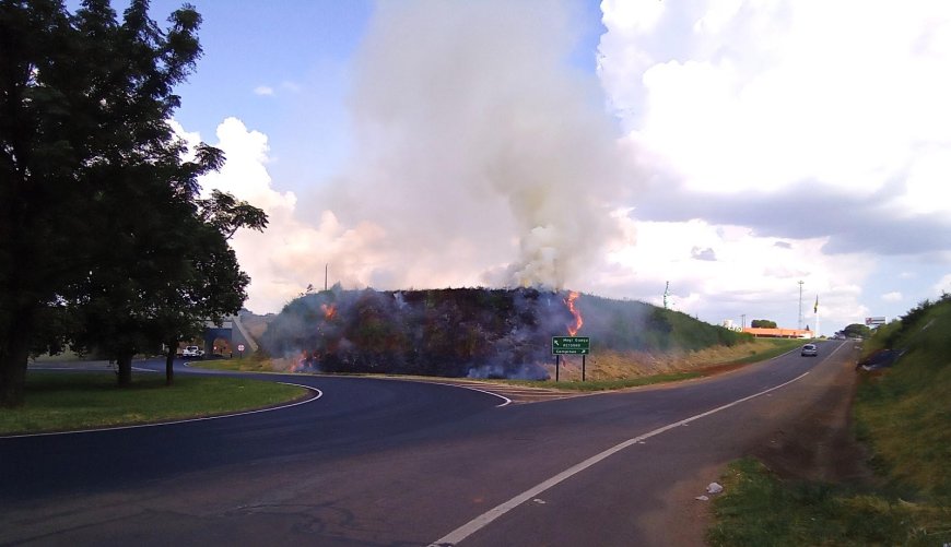 Tempo seco e calor elevam risco de queimadas nas rodovias de SP