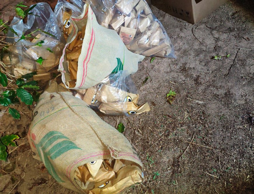 GCM impede furto de café em propriedade rural de Serra Negra
