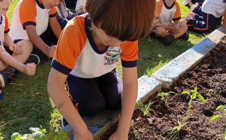 Alunos serranos realizam colheita pelo Projeto Horta nas Escolas