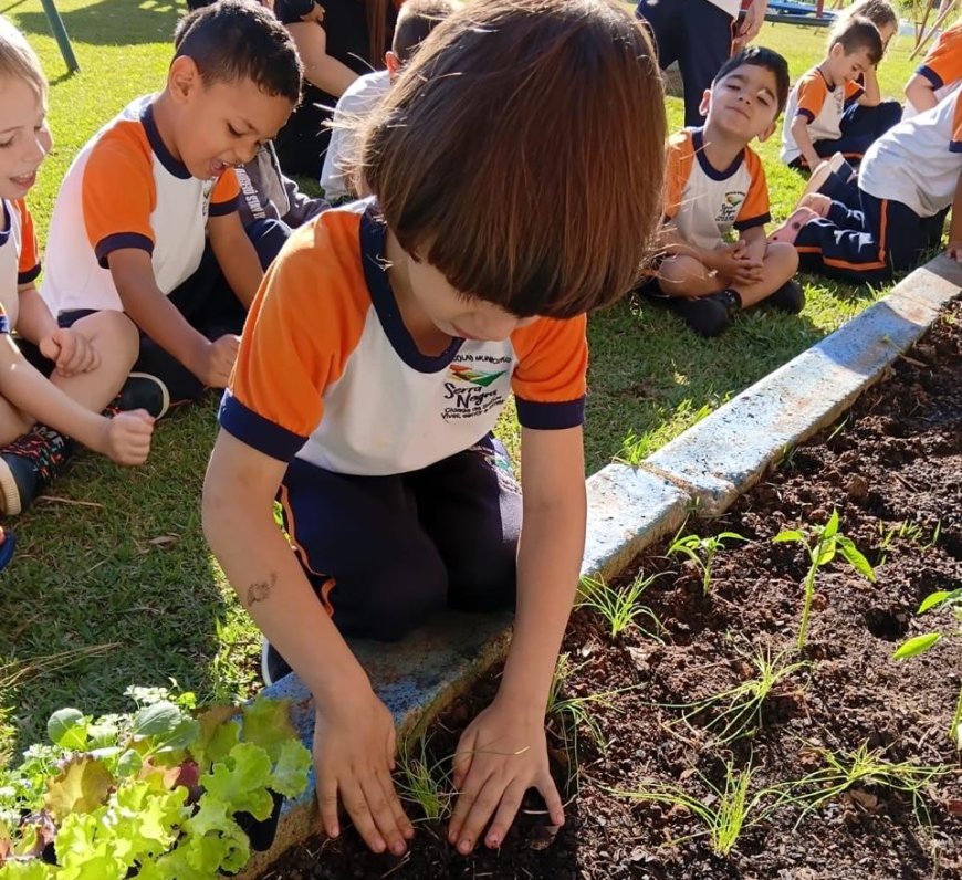 Alunos serranos realizam colheita pelo Projeto Horta nas Escolas
