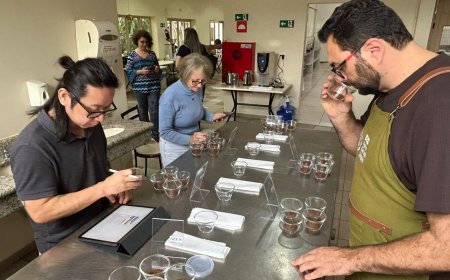 Concurso Estadual Qualidade do Café de São Paulo bate recordes de inscritos e municípios participantes em 2026