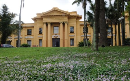 IAC abre as portas ao público com programação gratuita em novembro